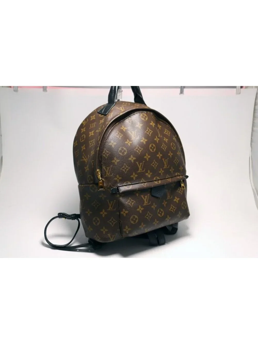 Louis Vuitton Palm Springs MM Monogram Backpack